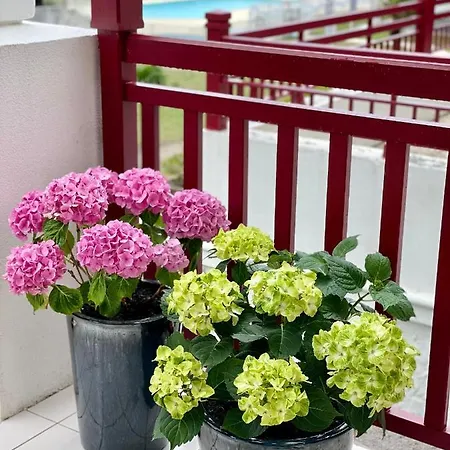 La Perle Atlantique, 3-4 Personnes Dans De Standing Lägenhet