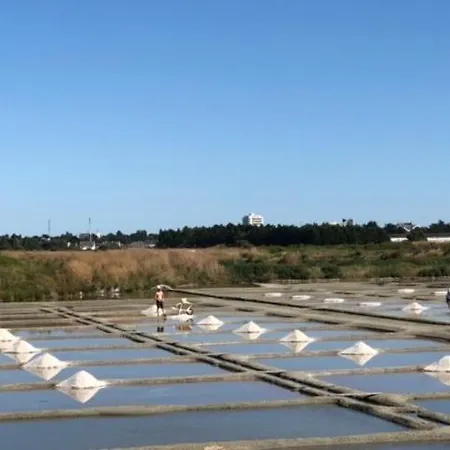 Lägenhet La Perle Atlantique, 3-4 Personnes Dans De Standing