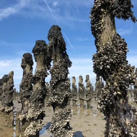 Lägenhet La Perle Atlantique, 3-4 Personnes Dans De Standing Le Pouliguen
