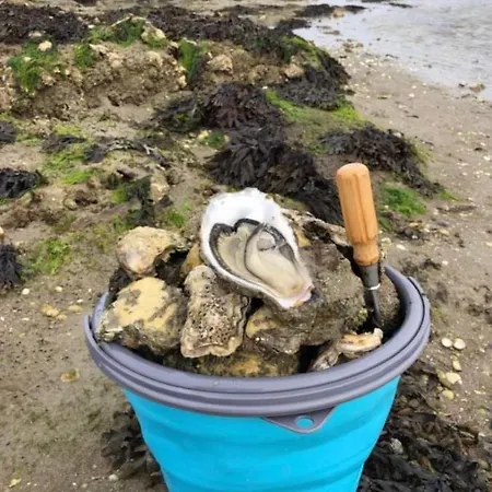 Lägenhet La Perle Atlantique, 3-4 Personnes Dans De Standing *