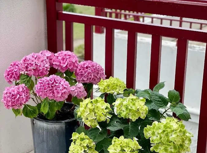 La Perle Atlantique, 3-4 Personnes Dans Résidence De Standing Appartamento