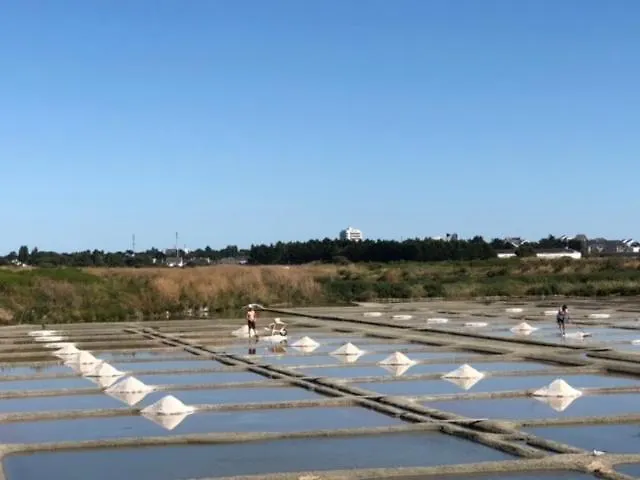 Appartamento La Perle Atlantique, 3-4 Personnes Dans Résidence De Standing