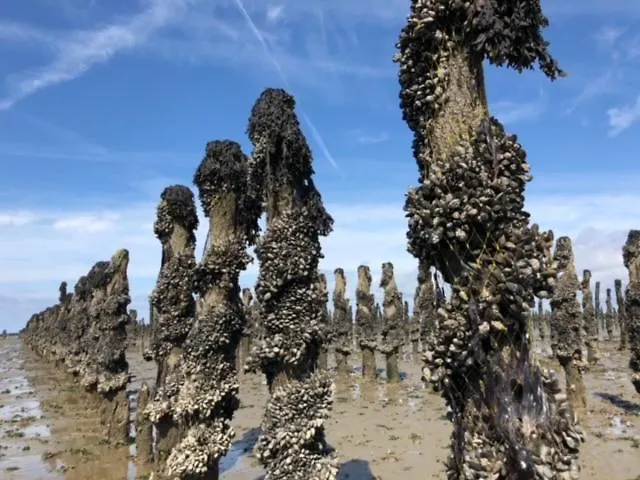Appartamento La Perle Atlantique, 3-4 Personnes Dans Résidence De Standing Le Pouliguen
