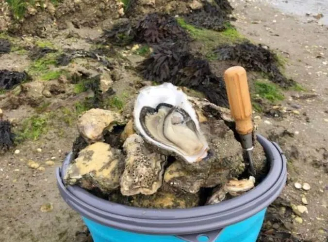 Appartamento La Perle Atlantique, 3-4 Personnes Dans Résidence De Standing *